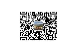 抖阴色会TV：揭秘新兴视频平台的独有魅力与潮流走向