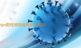 揭秘！如何成功达成目标HPV转阴的真实案例与经验分享