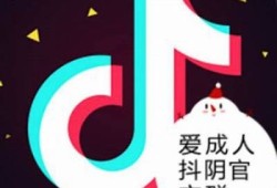 我爱辅助抖阴：提升短视频创作与传播的新利器