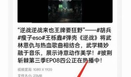 如何安全有效地观看抖音视频，详细指南与技巧分享