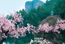 九阴白骨爪特效解析与精彩抖音视频合集