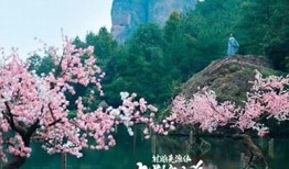 九阴白骨爪特效解析与精彩抖音视频合集