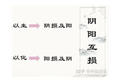 负阴抱阳：探索阴阳平衡的智慧与生活哲学