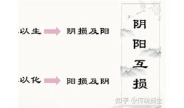 负阴抱阳：探索阴阳平衡的智慧与生活哲学