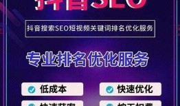 抖音优化与抖阴优化技巧，提升曝光率与粉丝互动