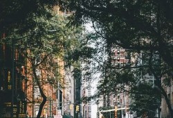揭秘日本阴抖视频：你不知道的背后故事与文化探秘