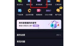 抖阴安全性评估：用户使用需知的注意事项与风险检视