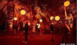 晨光：探寻沉浸式体验的社交软件，开启全新互动之旅