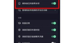 抖音视频下载全攻略：轻松保存喜欢的视频技巧