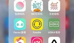 高效抖音优化版软件，助你提升短视频热度与流量