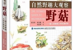 野花抖阴视频：深入探讨自然之美与野生植物的魅力