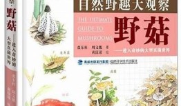 野花抖阴视频：深入探讨自然之美与野生植物的魅力