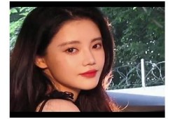 可爱动漫兔子抖音视频合集：欢乐追逐与萌动心情分享