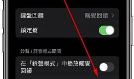 iOS抖阴响声消失解决方法，轻松恢复音效技巧分享