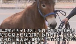 揭秘AV短视频抖阴情况：背后的心理与市场研究