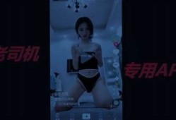 老司机抖阴短视频合集：带你领略热门短视频魅力与乐趣