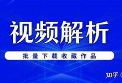 抖音种子下载攻略：如何通过迅雷快速获取