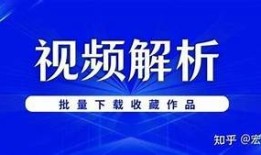 抖音种子下载攻略：如何通过迅雷快速获取
