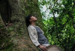 野兰花草传播的秘密：抖阴视频带你了解这奇妙植物