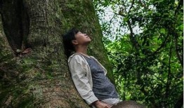 野兰花草传播的秘密：抖阴视频带你了解这奇妙植物