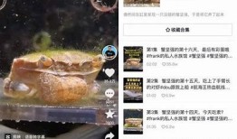 揭秘抖音石榴王：如何在短视频中快速吸引百万粉丝