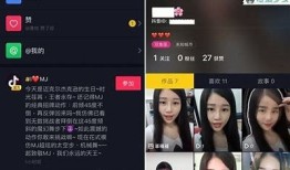 此抖阴非彼抖阴：实践宝中的全新使用体验解析