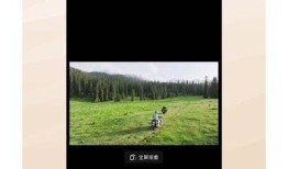 抖音优化版下载平台：轻松获取新版体验，热门功能一网打尽