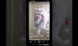 如何在苹果设备上下载安装抖阴TV