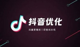 抖音优化版微信提取码，轻松获取高效内容分享