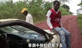 忘忧草抖阴：探秘这款神奇草药的功效与使用方法