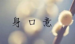 畅享乐趣：与抖阴相似的热门短视频app推荐