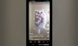 如何在苹果手机上安装抖音App：详细步骤与技巧指南