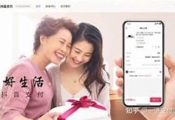 抖阴无法支付的动因及解决方法解析