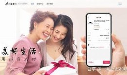 抖阴无法支付的动因及解决方法解析