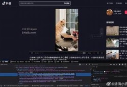 抖音视频免费下载观看攻略，一键获取精彩内容