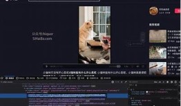 抖音视频免费下载观看攻略，一键获取精彩内容