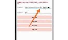 如何安全获取抖阴蓝奏云破解资源，保证下载无忧！