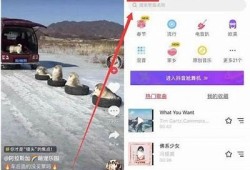 如何在抖音找到你想要的内容与达人技巧分享