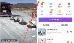 如何在抖音找到你想要的内容与达人技巧分享
