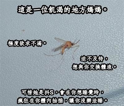 抖阴抖掉不嗨心的秘诀，轻松找到快乐的自己