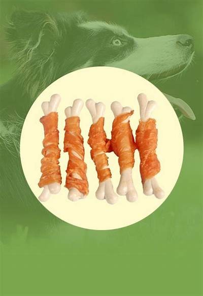 探索快猫与抖阴网站的特色与魅力，发现新世界