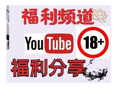 老司机专用：抖阴破解版下载与使用指南
