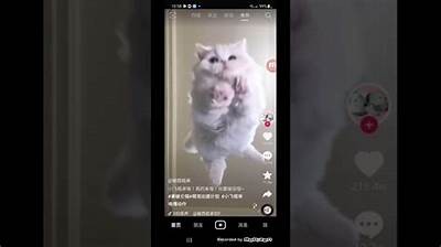 如何在苹果设备上下载安装抖阴TV