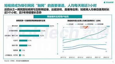抖阴VLP：新兴短视频平台的崛起与发展动向调查