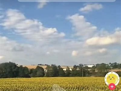 如何安全下载抖音视频？获取最新下载地址分享！