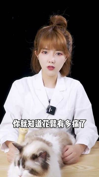 抖阴后猫咪现身，萌趣瞬间让人爱不释手！