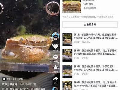 揭秘抖音石榴王：如何在短视频中快速吸引百万粉丝