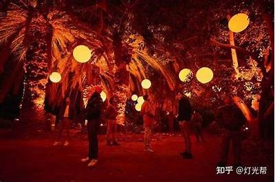 晨光：探寻沉浸式体验的社交软件，开启全新互动之旅