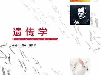 抖阴记：深入探索当代社会的隐秘角落与真实故事