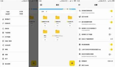 蓝奏云资源分享：抖阴app猫咪精彩内容获取指南
